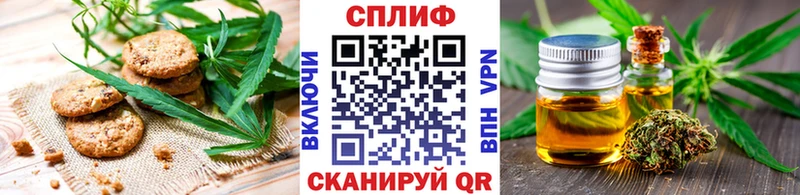 наркота  Сланцы  Печенье с ТГК марихуана 