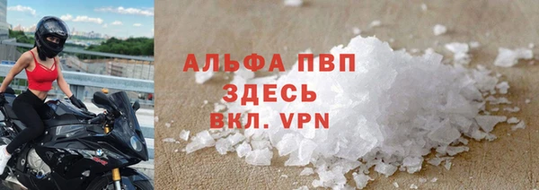 прущие грибы Нефтекумск
