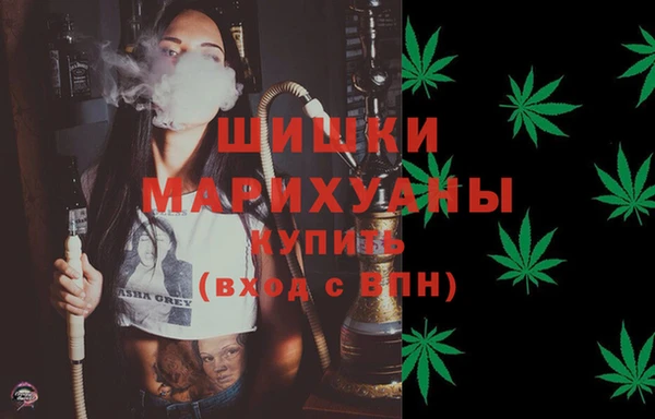 прущие грибы Нефтекумск