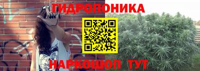 ГАЛЛЮЦИНОГЕННЫЕ ГРИБЫ Кулебаки
