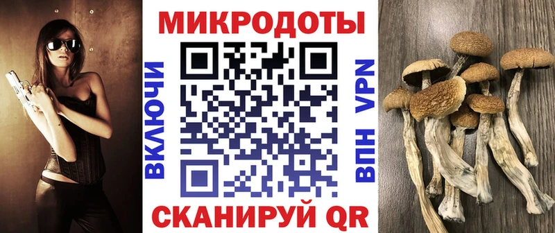 blacksprut вход  Сланцы  Псилоцибиновые грибы Cubensis 