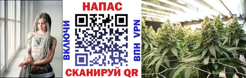 Каннабис Amnesia Сланцы